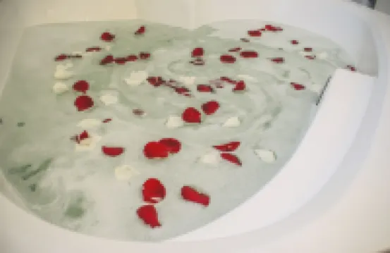 LRH維尼亞德爾馬和會議中心