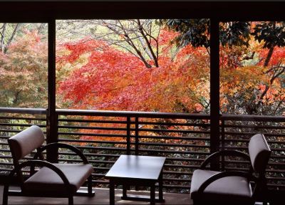 ホテルからの眺望 鶴巻温泉 元湯陣屋の写真