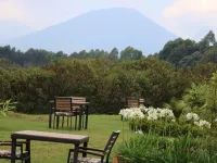 Davinci Gorilla Lodge Hotels near Bisoke Hike Volcanoes National Park