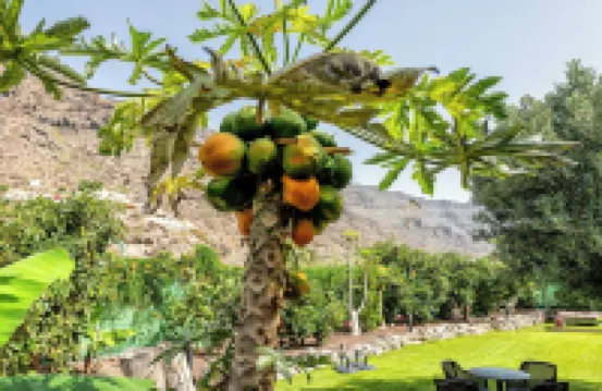 Sol Mogan Suites - Adults Only