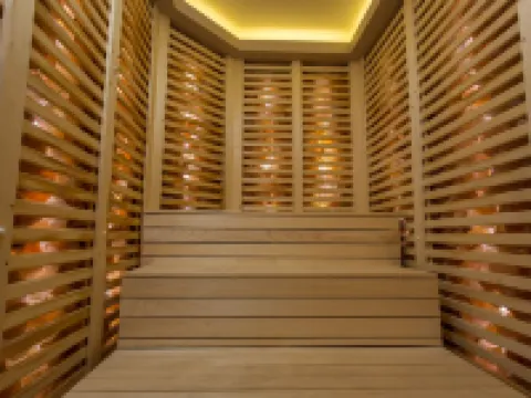 Révész Hotel, Restaurant and Rosa Spa Hotels in Gyor