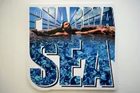 Son of a Beach Hostel