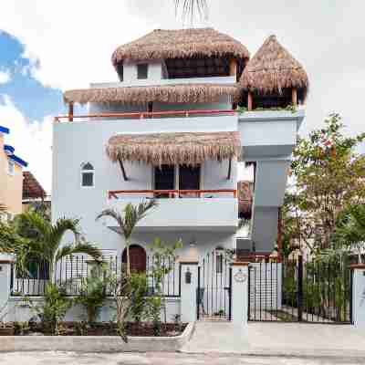 Casa Sonoma - Charming Condos Minutes from Beach & Reef Hotel Exterior