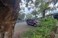 Tropical Garden Hotel - Pet friendly