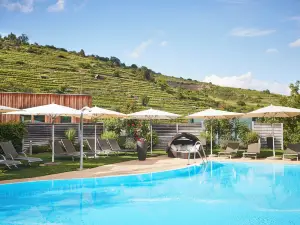 Steigenberger Hotel and Spa, Krems