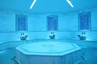 Basaranlar Thermal Hotel - spa