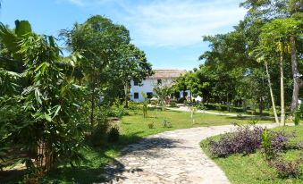 Tropical Dream Villa