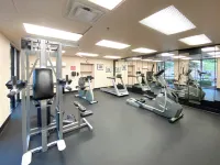 Best Western Plus Inn of Williams - Gym