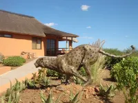 Babson House at Cheetah Conservation Fund - 4-Star