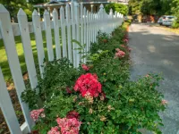 The Victoria Bed & Breakfast Hotels in Bentonville