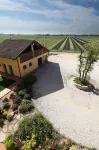 Tenuta Aganis Hotels in San Giorgio di Nogaro