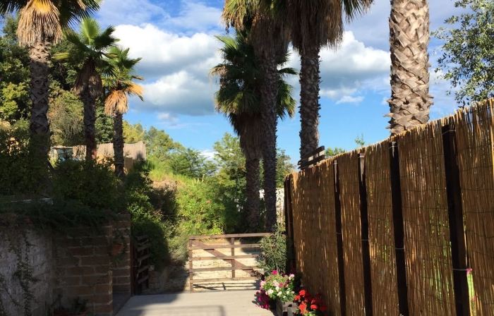 Agave Resort