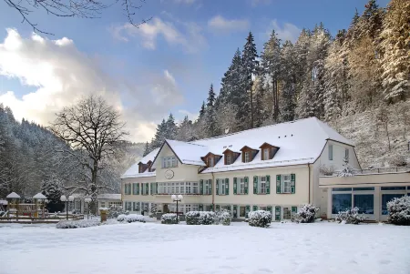 Waldhotel Bad Sulzburg Отели в г. Мюнстерталь