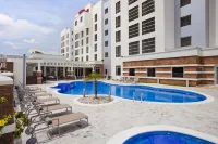 Hilton Garden Inn Tuxtla Gutierrez - Pool
