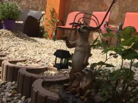 Vulkán Wellness Panzió Các khách sạn ở 