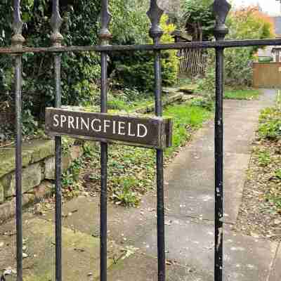 One Springfield, Tain Others