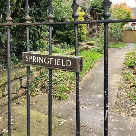 One Springfield, Tain
