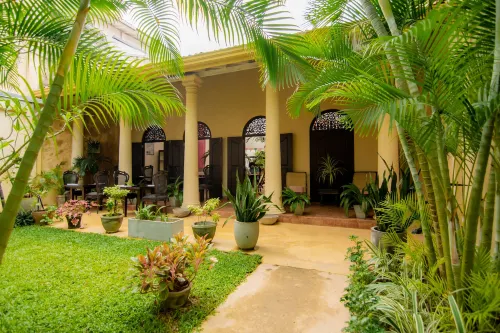 Mango House - Pet friendly