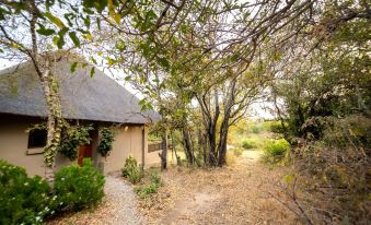 Rukiya Safari Camp