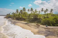 Aite Eco Resort - Ocean View