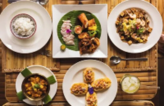 오션 그린 에콜로지