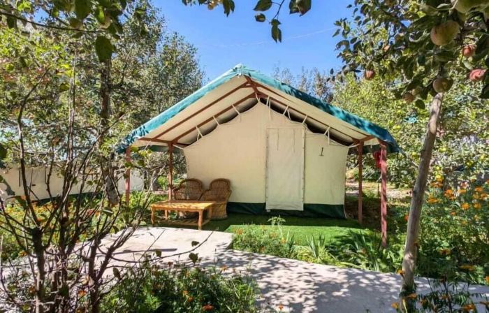 Apple Orchard Farm and Camping