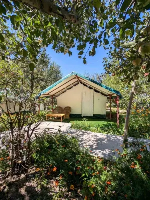 애플 오처드 팜 앤 캠핑 쿨루 호텔