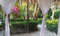Colibri Apartments - 4 Min Walk to the Beach!