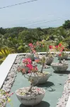 The View Pipa Hotels in Nisia Floresta