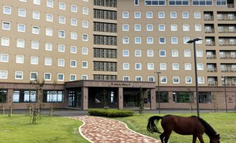 Toyoko Inn Tsushima Hitakatsu