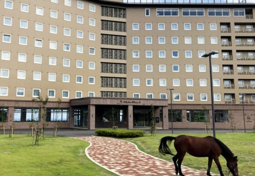 Toyoko Inn 객실 내부