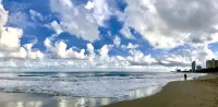 1Br + living room 821 Sqft  with Ocean View - Direct Beach Access - WiFi - Piano