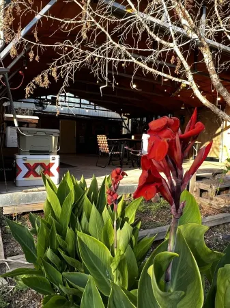 Waterfront Bandera Rustic Cabin on River-pet friendly