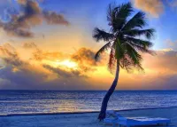 206 Luxury 3rd floor 2 bd 2 bath beachfront condo with stunning pool and views!