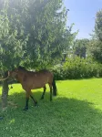 Agrimar country house farmhouse Hotel in zona Ex Convento Santa Maria Delle Grazie
