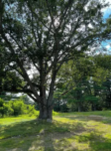 Lake Top Cottage - Midcoast Maine - New Reno - High-Speed WiFi