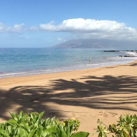 Spectacular Oceanviews Surfrider 1 Bedroom  Perfect South Kihei Location