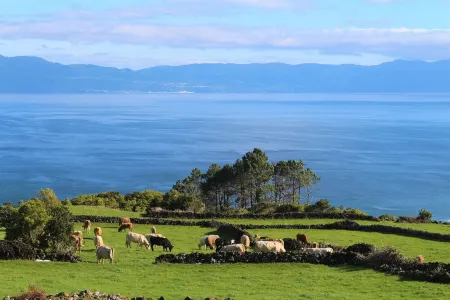 Pike Cliffs - Amazing view to S. Jorge