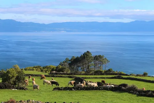 Pike Cliffs - Amazing view to S. Jorge