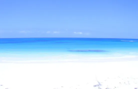 Trade Winds - Oceanview, Private Pool, Short Walk To Pink Sand Beach, Central.