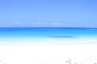 Trade Winds - Oceanview, Private Pool, Short Walk To Pink Sand Beach, Central.