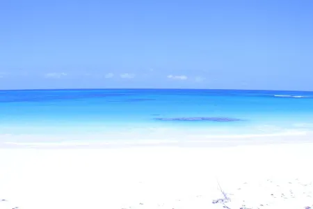 Trade Winds - Oceanview, Private Pool, Short Walk To Pink Sand Beach, Central.