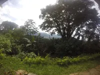 Casa Natural view for rent Hotels in Bijagua