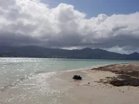 Charming bungalow located between sea and mountains Hotels in Sainte-Rose