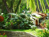 Manala Hotel Hotels in Cobano