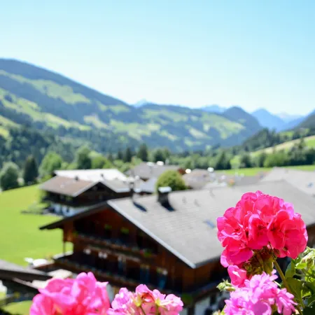Boutiquehotel Die Alpbacherin 4 Sterne Superior