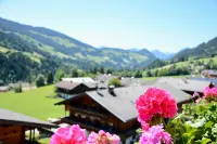 Boutiquehotel Die Alpbacherin 4 Sterne Superior - Mountain view