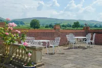 Tall Trees Hotels in 