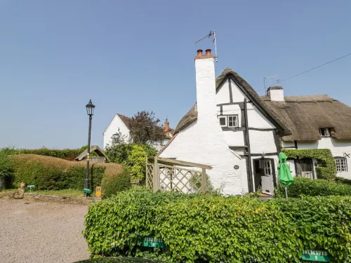 Bluebell Cottage - Homestays