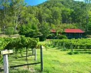 Cedar Creek Cottages Hotels in Millfield